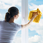 Window Cleaning Services